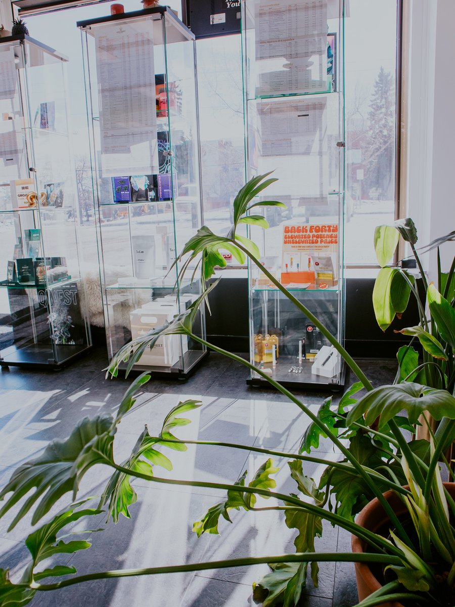 All week long save 42% on accessories and enter to win our 4/20 giveaway! #yeg