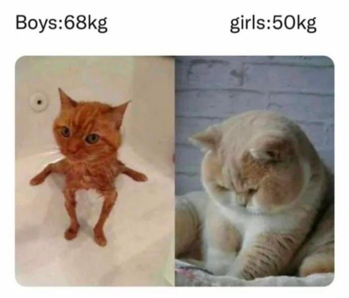 mohamedhifly00's tweet photo. 💯💯🤣🤣 https://t.co/2KySCBP8mg