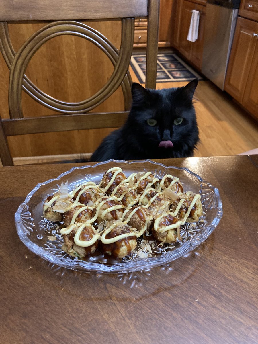 ginkgojiang's tweet photo. me love bonito flakes meow 😸 https://t.co/V17KetwdR6