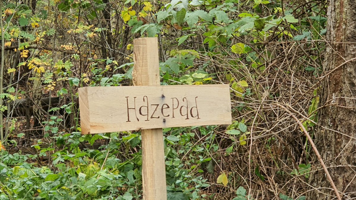 marianne 🐾🍄 tweet media