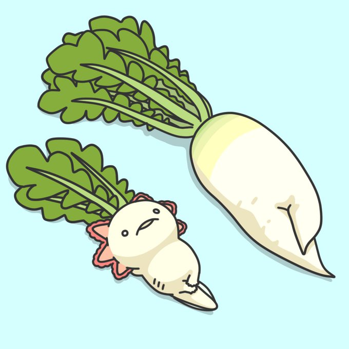 「野菜」のTwitter画像/イラスト(新着｜RT&Fav:50)｜18ページ目
