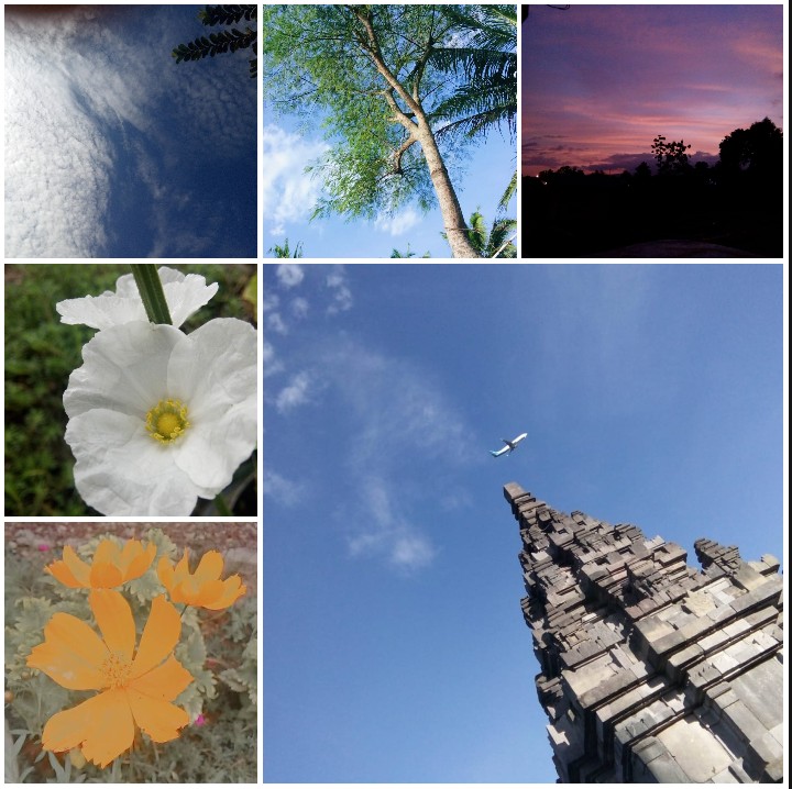 opensea.io/Shalinaz_filiz
#NFT #nfts #buyNFT
#NFTCommunity