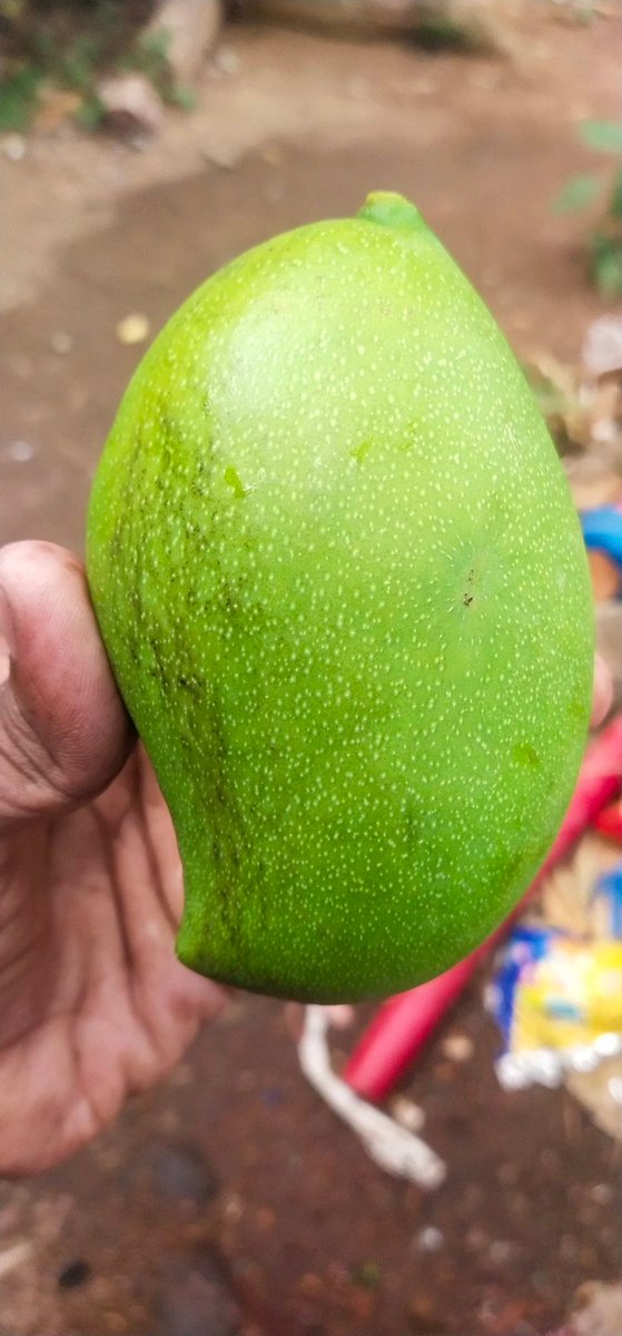 Ayusuman Kumar tweet media