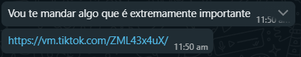 Lucas Guilherme Silva Brito tweet media