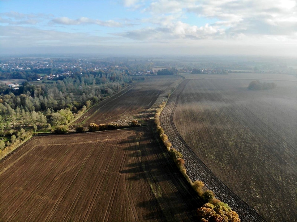 Rosie P 🦇 🦎 🕷️ 🦭 🐌 🍃🌳🚲💧 tweet media