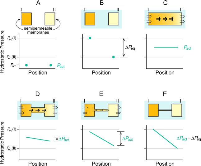 Journal of Plant Physiology tweet media
