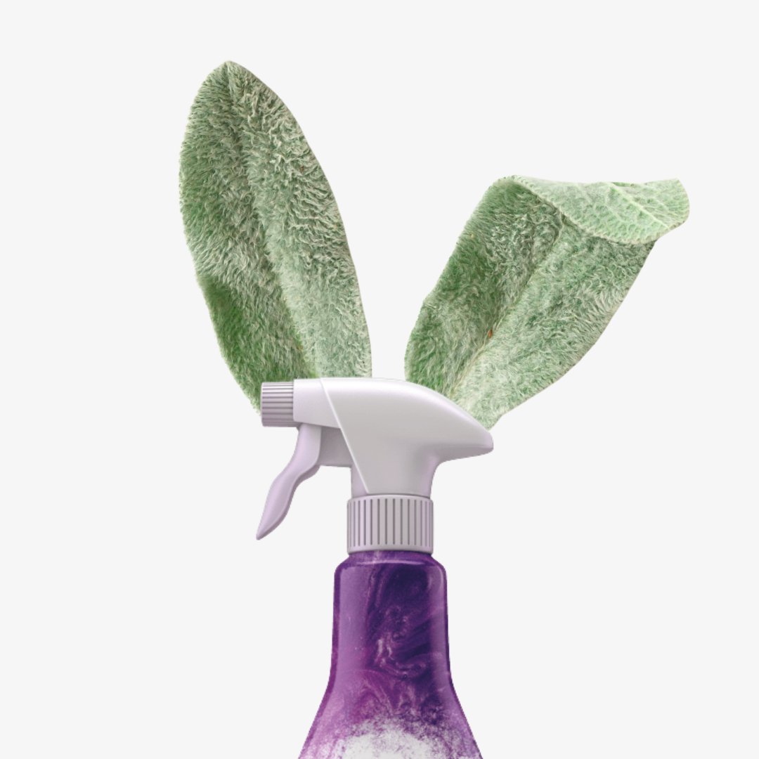Alkimi_uk's tweet photo. Easter can be a hectic time for busy families... let ALKIMI make the clear up a refreshing breeze and order the multi-pack from Amazon. 

#NatureEngineered #NaturalCleaning #CleaningHacks #CleaningTutorial #ToxicFree #BleachFree #FreeFromToxins #NaturalClean #Nature https://t.co/H1nEvlGsDe