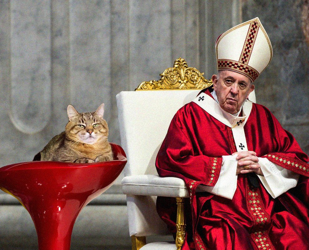 loveyoustepan's tweet photo. @EuromaidanPress @Pontifex Ukrainian Catplomat #LoveYouStepan met with @Pontifex to deliver his condemnation of these awful, performative acts of diplomacy by the Vatican. True #Catplomacy takes courage and conviction, the power to say #StopPutinNOW. Invasion of a sovereign country can not be tolerated. https://t.co/IhC5QXu2JL