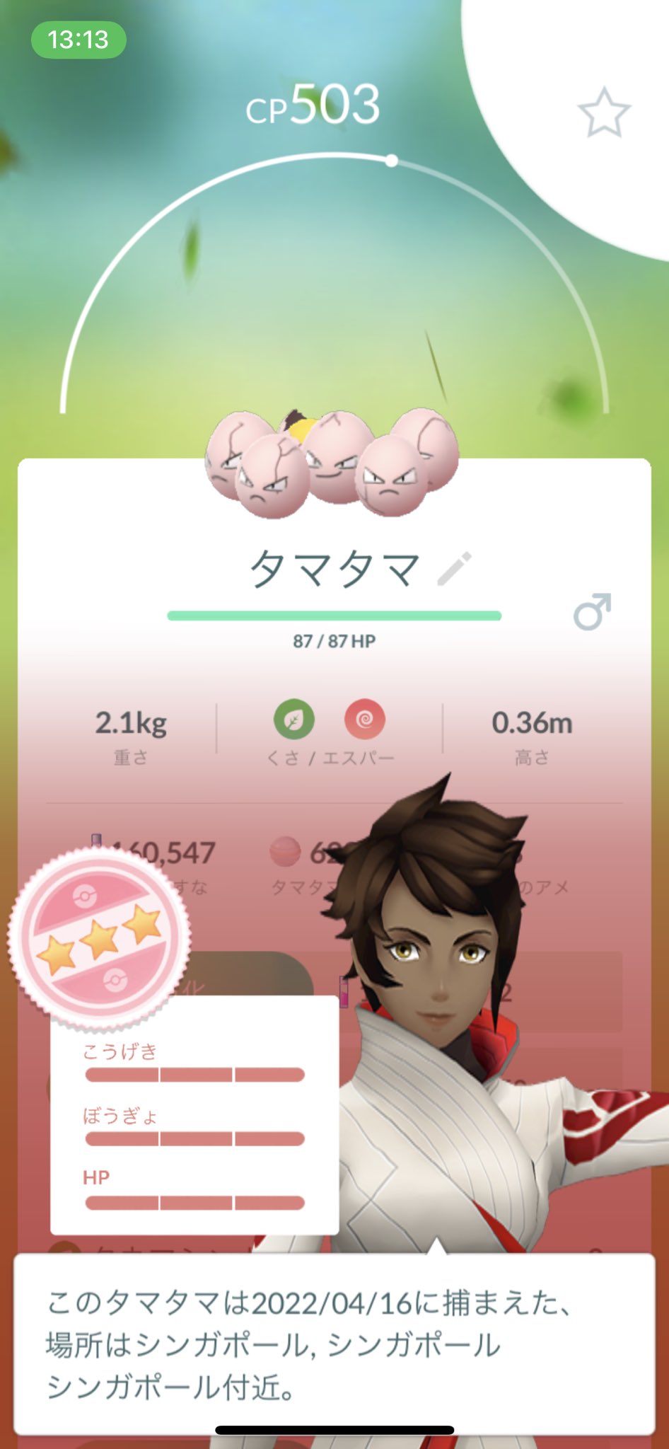 りゅうせいぐん Twitter Search Twitter