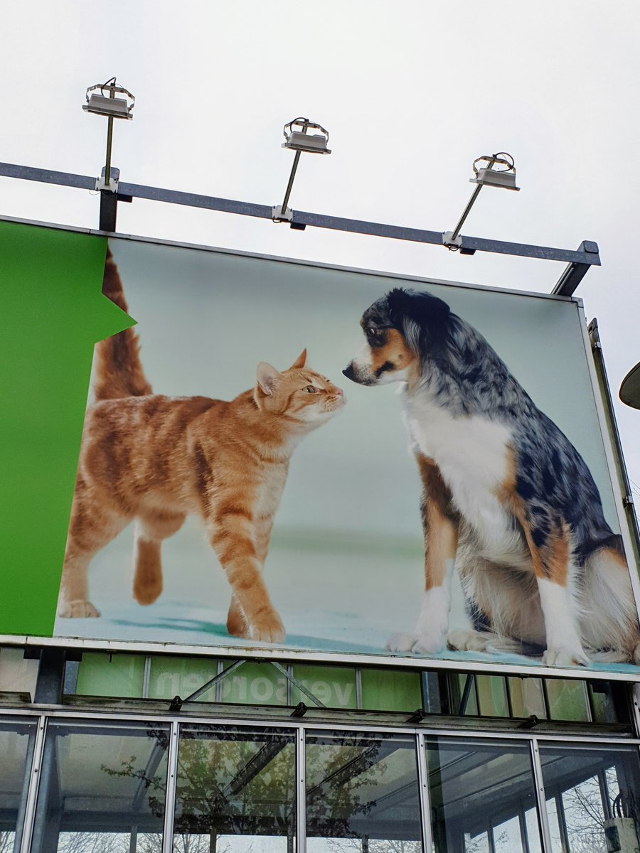 Doktor Eder tweet media