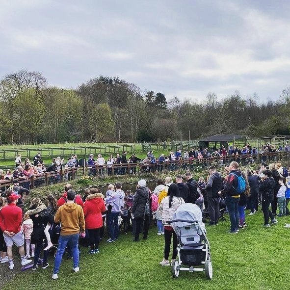 AlmondValleyHC's tweet photo. All the #plasticducks are numbered and if your number is called out you can win a giant #EasterEgg collect your number from reception when you arrive.  The duck race takes place at 4pm today,  tomorrow and monday #Easter Eggcitement https://t.co/3al4Do4SOG