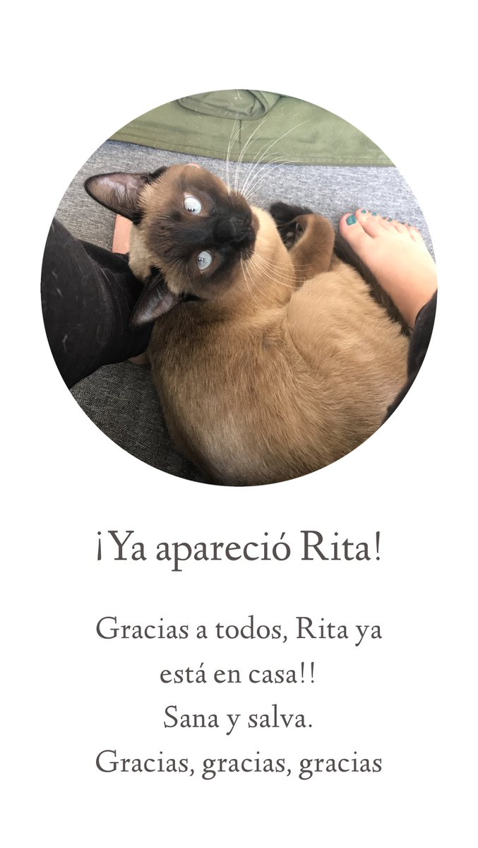 APARECIÓ RITA, gracias infinitas a todos por su ayuda.