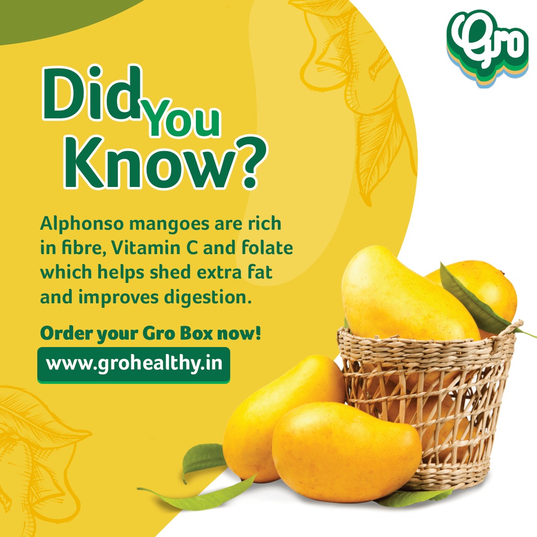 GroHappiness's tweet photo. Well, now that you know this interesting fact, place your orders for Gro Alphonso today!
Visit www.grow https://t.co/IQy7Ctwgu8 or WhatsApp at 8657992880

#GroHappiness #GroAlphonsos #Mangoes #DidYouKnow #SummerSeason #BringHomeHealthy #HealthyFruits #Ratnagiri #VitaminC #Fibre https://t.co/n7ENFynTFG