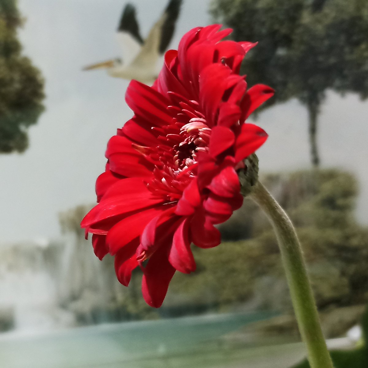 AmalpsP's tweet photo. #NewProfilePic https://t.co/kQdgbVTcOv