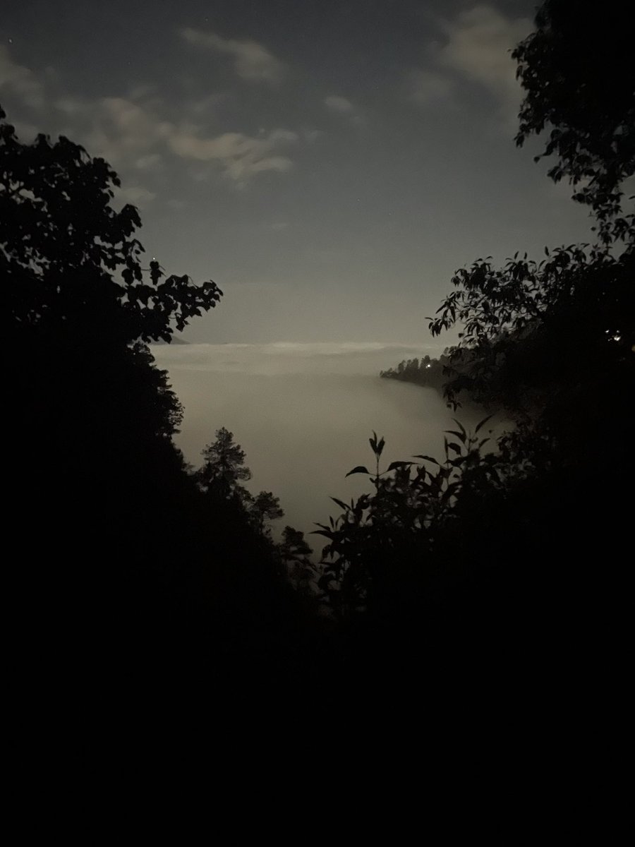 matbahena's tweet photo. Caminata nocturna sobre un bosque de niebla https://t.co/YReLz1LdIb