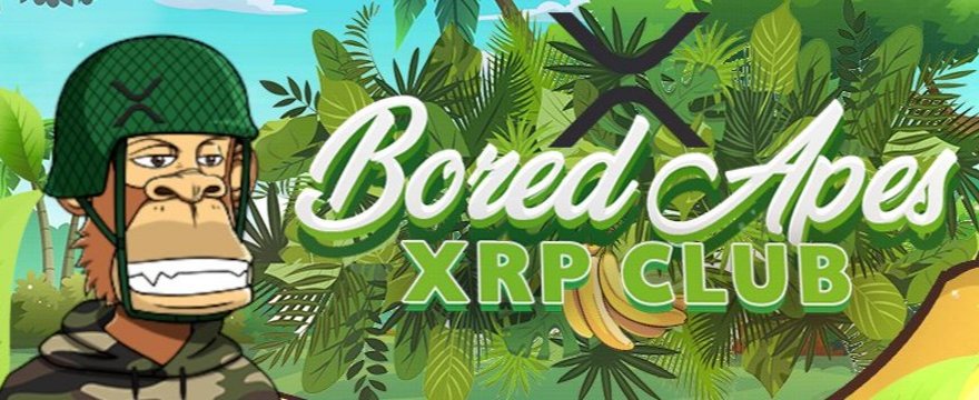 Last day to join!
BAYNANA RAFFLE 
 🎉25 apes will win 0.2 BAY 🎉
🍌Worth 35O XRP

Share it to everyone! 
🍌Tag your friends
🍌Like and RT
🍌Click the link below to join ⬇️
sweepwidget.com/view/55067-j2e…