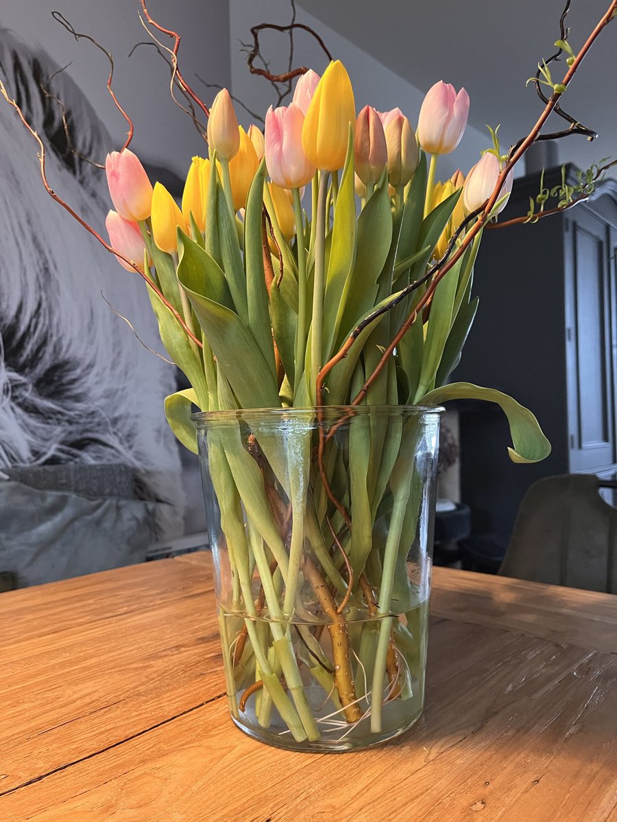 rob_jongejan's tweet image. Goedemorgen tweeps, gisteravond 11.50 thuis vanaf de #Texelstroom en ik ga nu op weg naar de dr. #Wagemaker #lifeainteasy #Teso #Texel #fijnepaasdagen