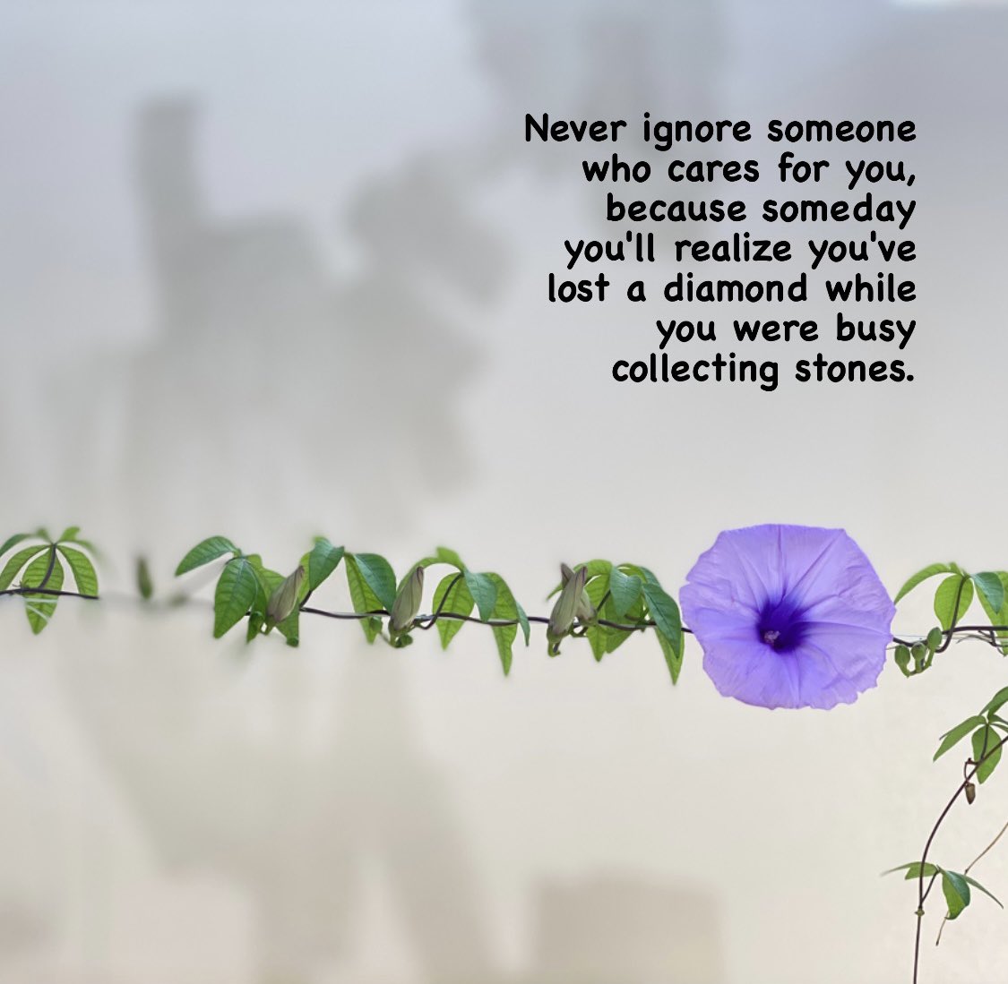 iAathu's tweet photo. #Neverignore https://t.co/r0J1a8lLqa
