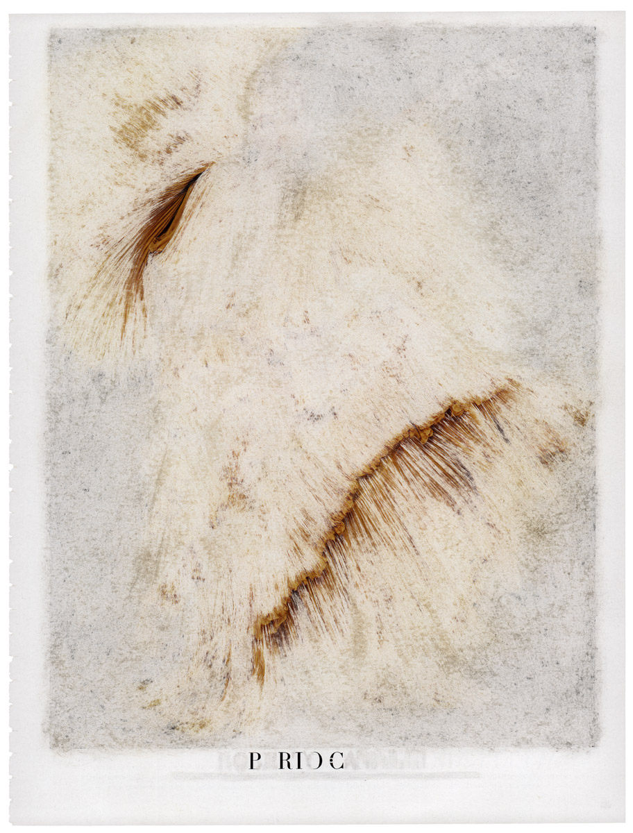 freitag3000's tweet photo. PRIDE - #palimpsest #PeterFreitag #robertocavalli #sanded #magazinepage #SevenDeadlySins #SevenWaysToWin #art #conteporaryart #artistsontwitter https://t.co/9lG2zP7jzT