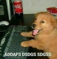 Dais_Mamon🎲 tweet media