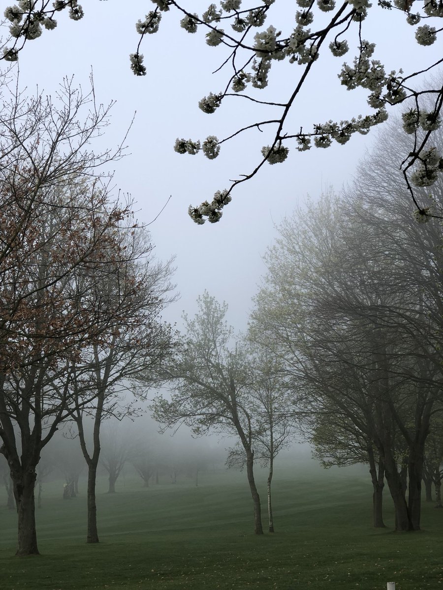 Sittingbourne & Milton Regis Golf Club tweet media