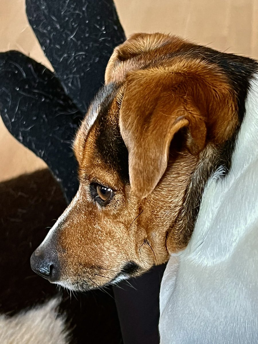 Har akkurat sluppet en «smyger»: Håper ingen merker det! 😂