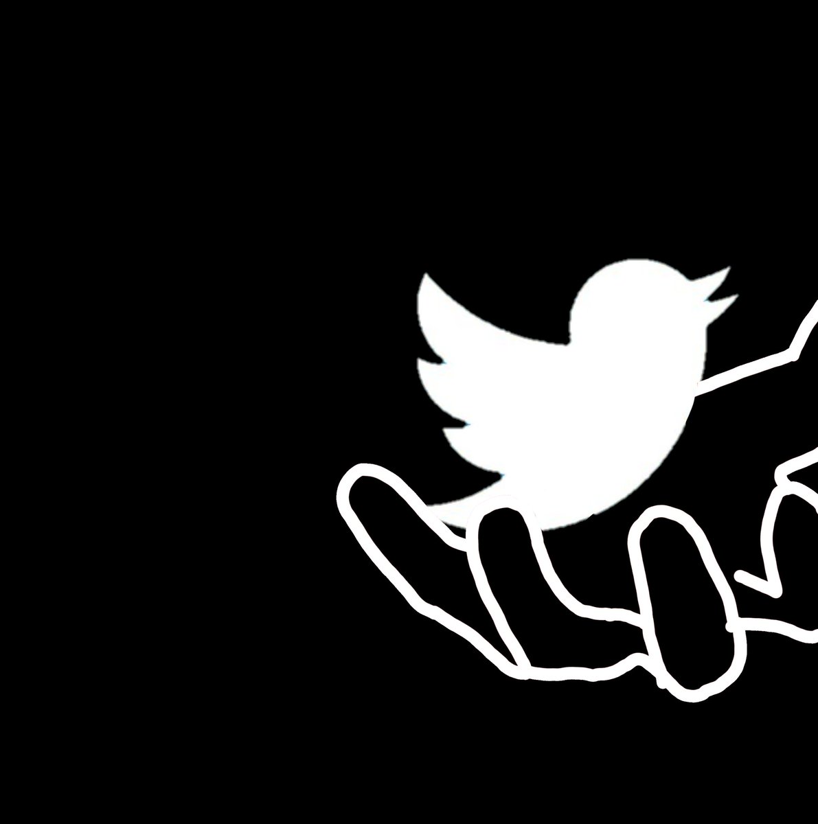 unfairportedcat's tweet photo. The cat always catches the bird... https://t.co/70XrTSsQI9