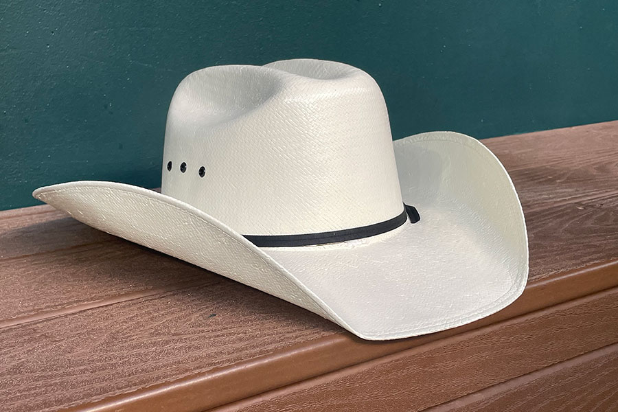 本塁打後に #エンゼルス ダグアウトで行われるセレブレーションに登場