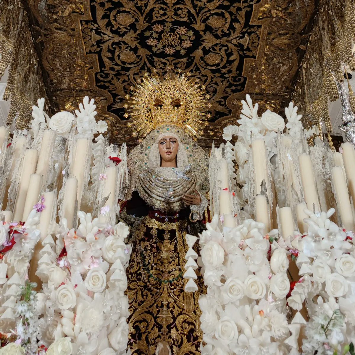 Javier R tweet media