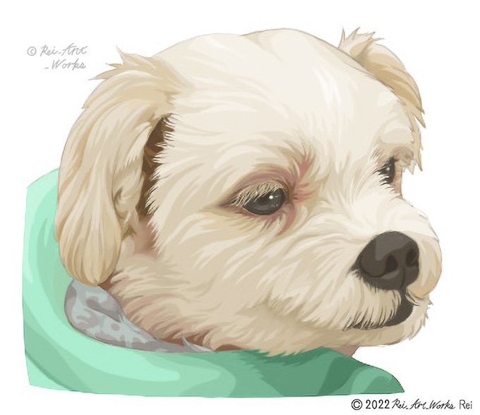 マルチーズのtwitterイラスト検索結果 古い順 マルチーズのtwitterイラスト検索結果 古い順