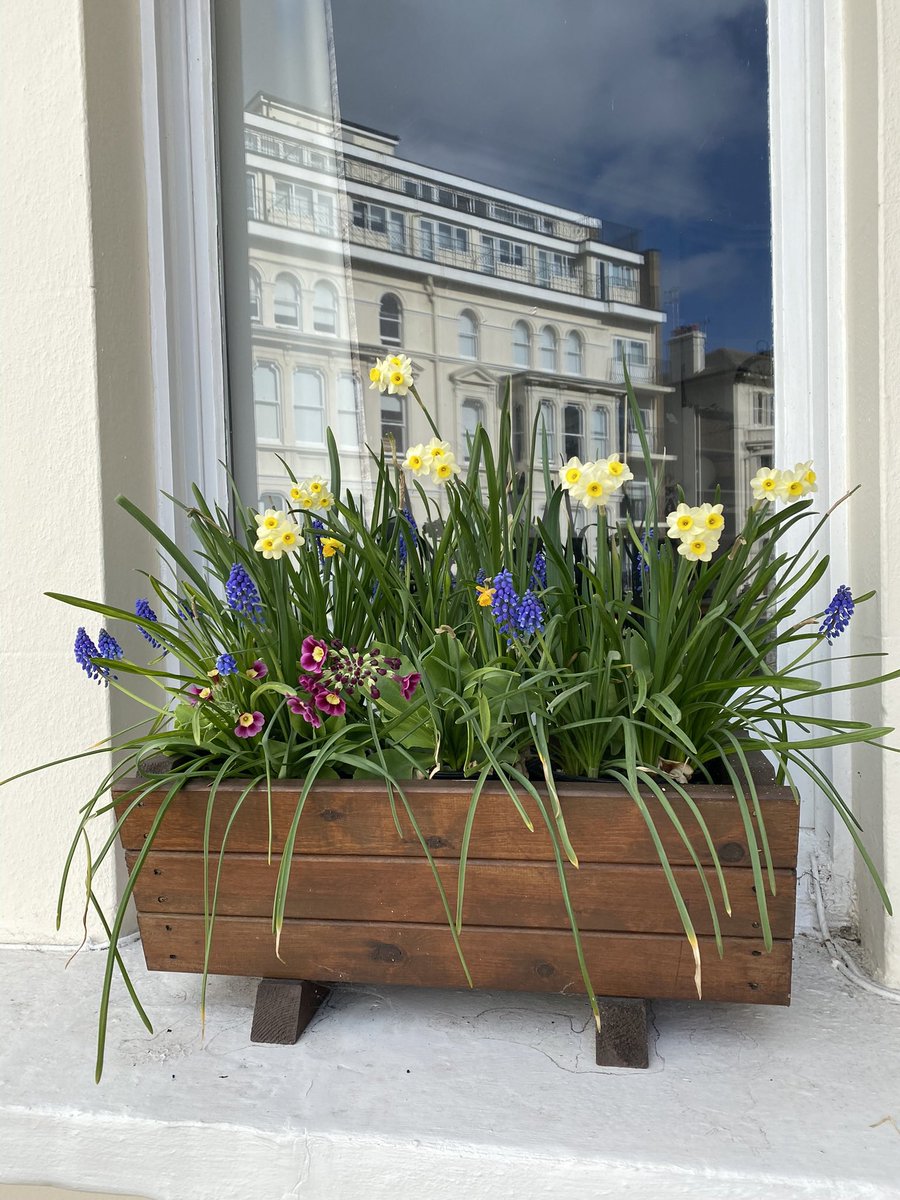 yay_mims's tweet photo. @qvcuk how lovely, all the gardening today. Big fan of @Plants2Gardens and my bulbs @deJagerBulbs #QVCGARDENING https://t.co/ymJwmNIQMI