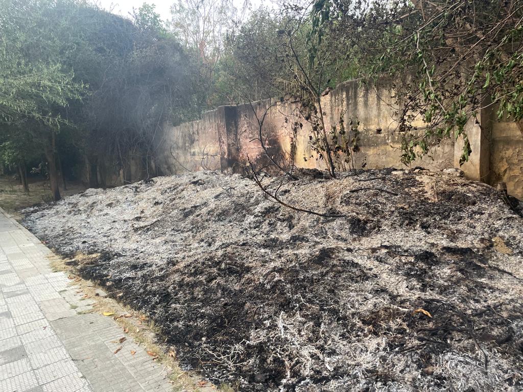 URJA (@urjadelhi) on Twitter photo Burning autumn leaves by <a href="/official_dda/">Delhi Development Authority</a> staff at Ashok Vihar gross violation of <a href="/DPCC_pollution/">Delhi Pollution Control Committee</a> Norms be looked into by <a href="/dckpzone/">@DCKPZONE</a> <a href="/DCPNEastDelhi/">DCP North East Delhi</a> <a href="/DRHCGUPTA2/">DR H C GUPTA</a> Burning autumn leaves by <a href="/official_dda/">Delhi Development Authority</a> staff at Ashok Vihar gross violation of <a href="/DPCC_pollution/">Delhi Pollution Control Committee</a> Norms be looked into by <a href="/dckpzone/">@DCKPZONE</a> <a href="/DCPNEastDelhi/">DCP North East Delhi</a> <a href="/DRHCGUPTA2/">DR H C GUPTA</a>