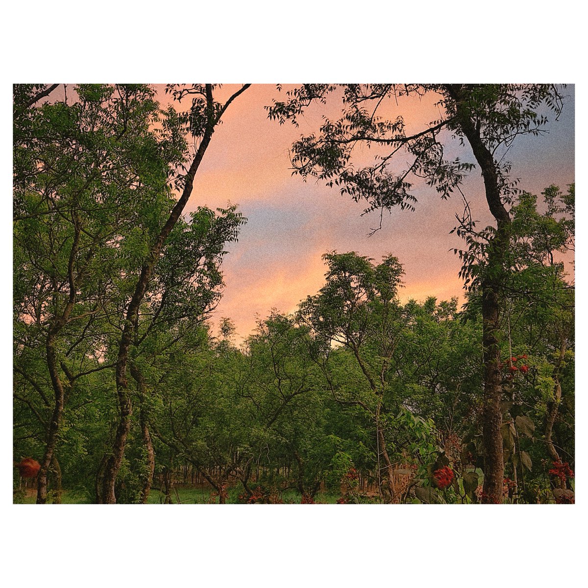 AlexMarcer07's tweet photo. GRAIN EFFECT NATURE PHOTOGRAPHY
#beauty #beautiful #nature
#landscapephotography #naturelandscape #graineffect
#Twitter #Instagram #PhotoOfTheDay
#photographer #NaturePhotography https://t.co/4w3zwfbjps
