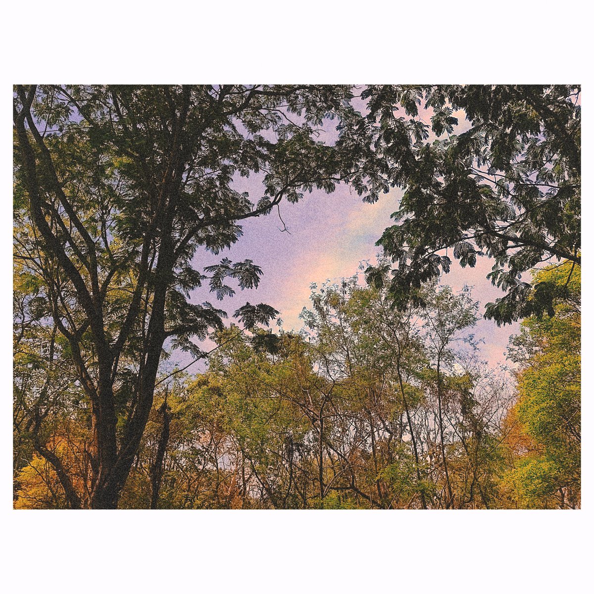 AlexMarcer07's tweet photo. GRAIN EFFECT NATURE PHOTOGRAPHY
#beauty #beautiful #nature
#landscapephotography #naturelandscape #graineffect
#Twitter #Instagram #PhotoOfTheDay
#photographer #NaturePhotography https://t.co/4w3zwfbjps