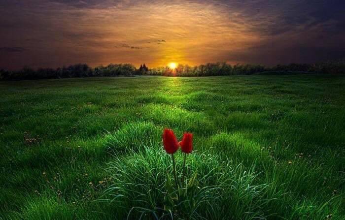 santangelo_s's tweet photo. Il campo di battaglia di #Culloden dove il #16aprile del 1746 caddero i migliori figli di #Scozia: "L'onore è qualcosa che nessun uomo ti può dare e nessun uomo ti può togliere" #Scotland #ScotladForever #Highlander #Scottish #ScottishHighlander #CullodenMoor https://t.co/pvQa96H0hi