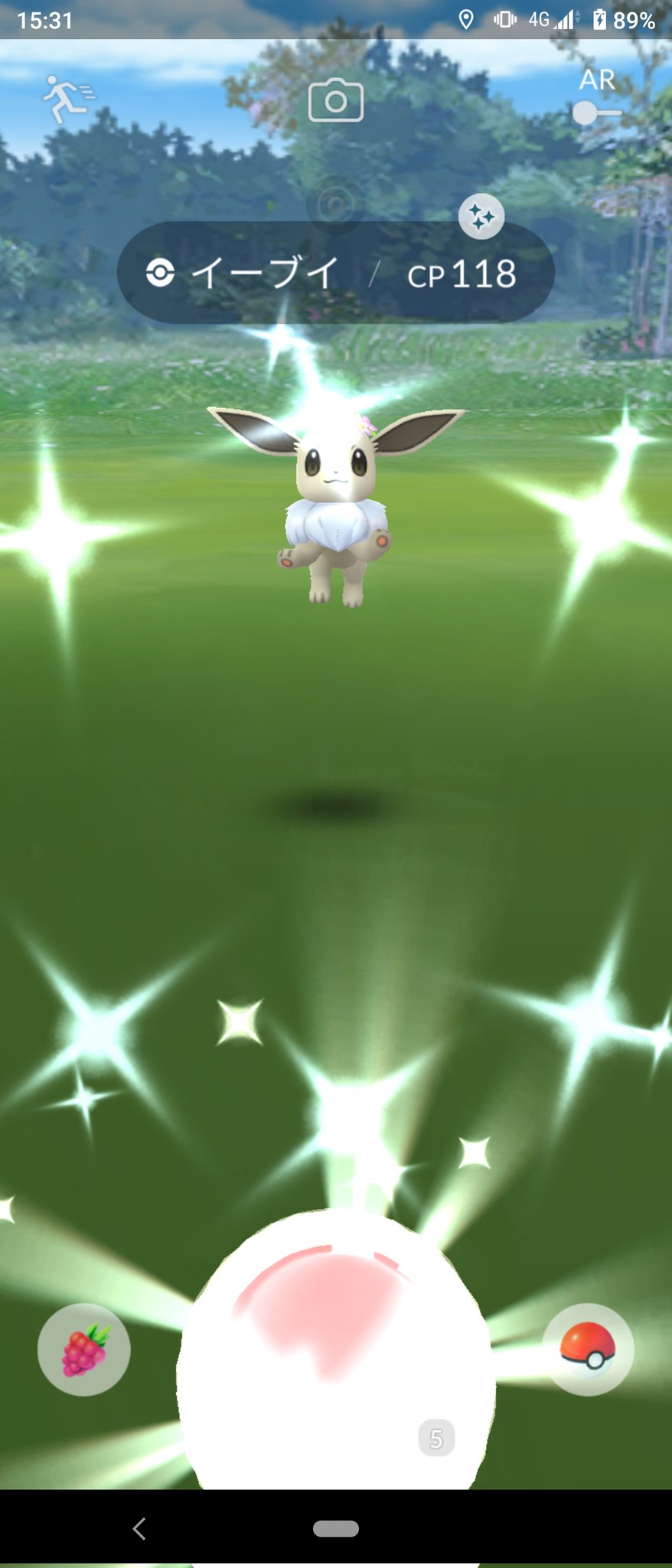 イーブイ 巣 Twitter Search Twitter