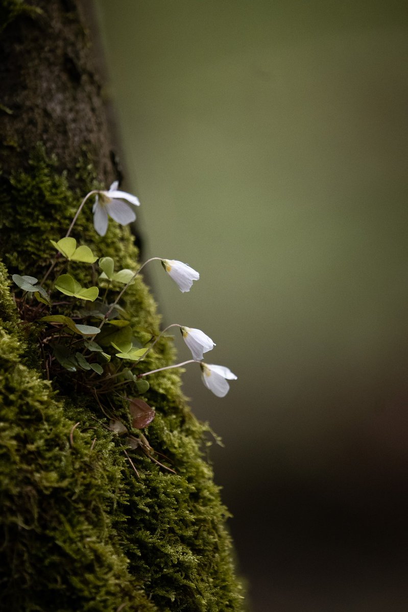 Tobias Reißbach tweet media