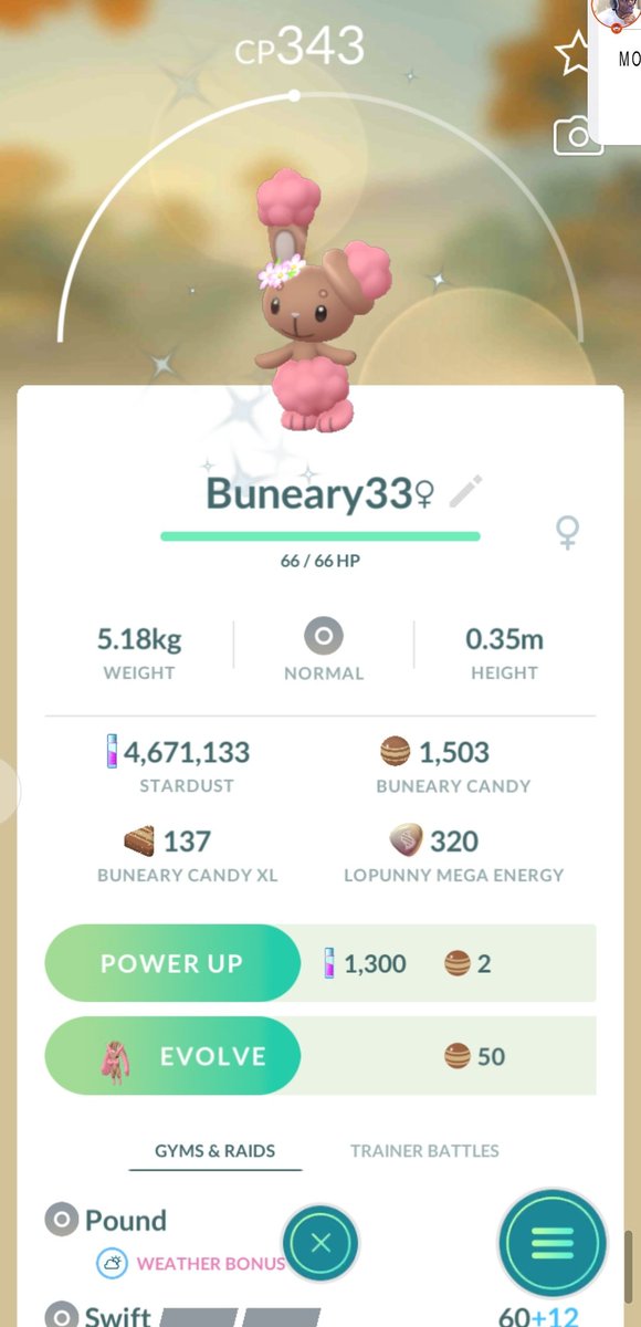kingl_ay's tweet photo. two new shinies today ‼️🙌 buneary with the flower crown🐰💐 and lileep 🥀🥰✨💖
#pokemongo @PokemonGoApp #shiny #shinypokemon #rrade https://t.co/LVFLlWJ0h3