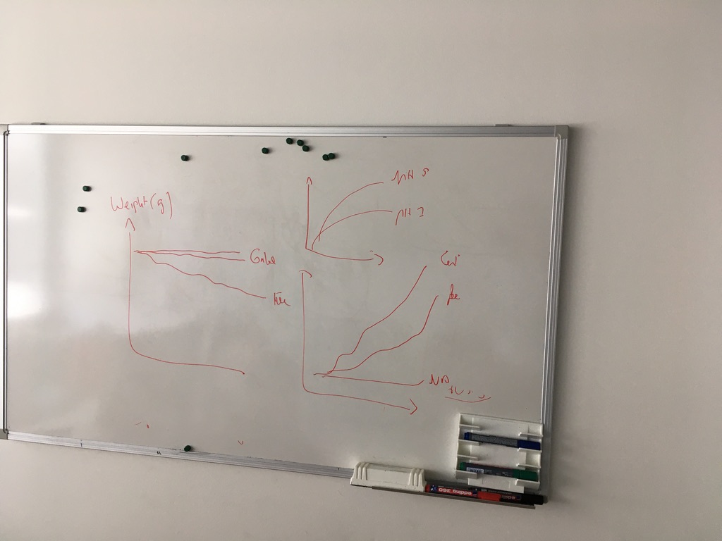 Fantastic meeting w/ my PhD advisor Jean-Christophe Leroux <a href="/ETH_en/">ETH Zurich</a>. He sketched out the three essential graphs of tumor-targeting nanoparticles followed by a passionate conversation about major conceptual breakthroughs in drug delivery in the last and next fifty years.