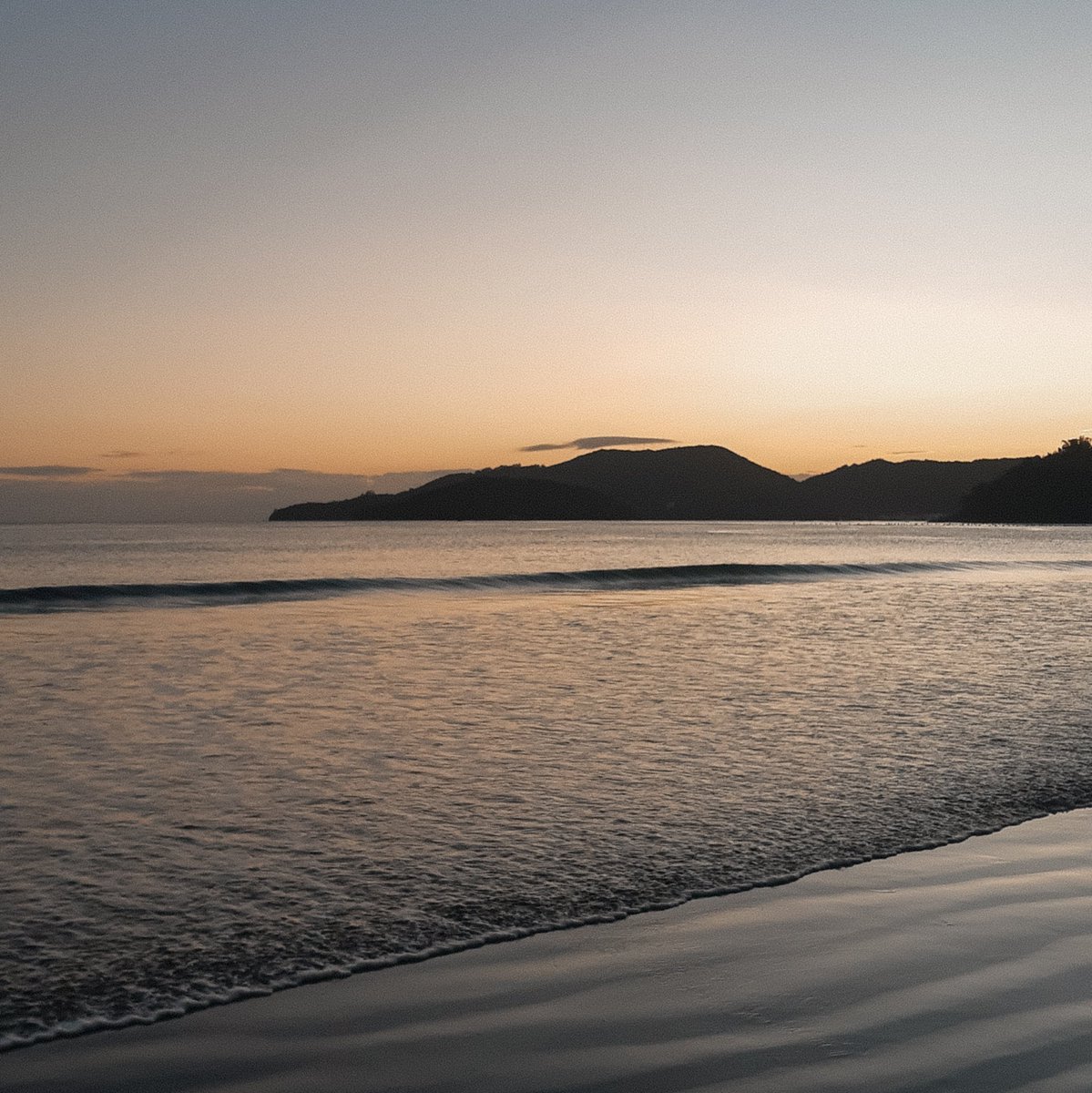 GM fam! Sunrise vibes 💛

#sunrise #NFTCommmunity