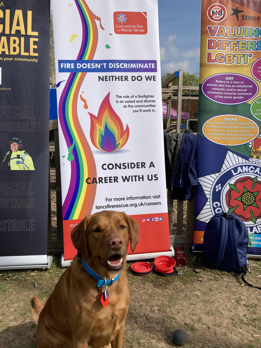 LFRS_HlthFitWel's tweet photo. @KieryH @LancsPolice @PCIanAshton @carriejbrooks @rickrichwaller @LancashireFRS @FulwoodFire @typhoonsrufc Really great to be supporting colleagues today with Benson one of our #WellbeingSupportDogs https://t.co/4JOfu1FllQ