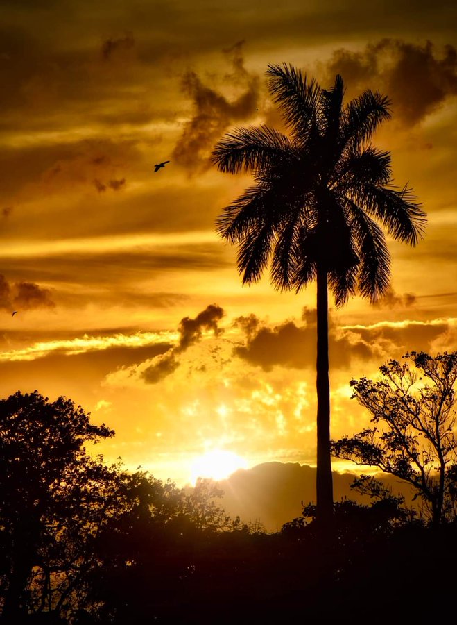 "...Vengan cuando vengan los mercenarios, todos nosotros, orgullosos de nuestra Revolución, orgullosos de defender esta Revolución de los humildes, por los humildes y para los humildes, no vacilaremos, frente a quienes sean, en defenderla hasta nuestra última gota de sangre!"