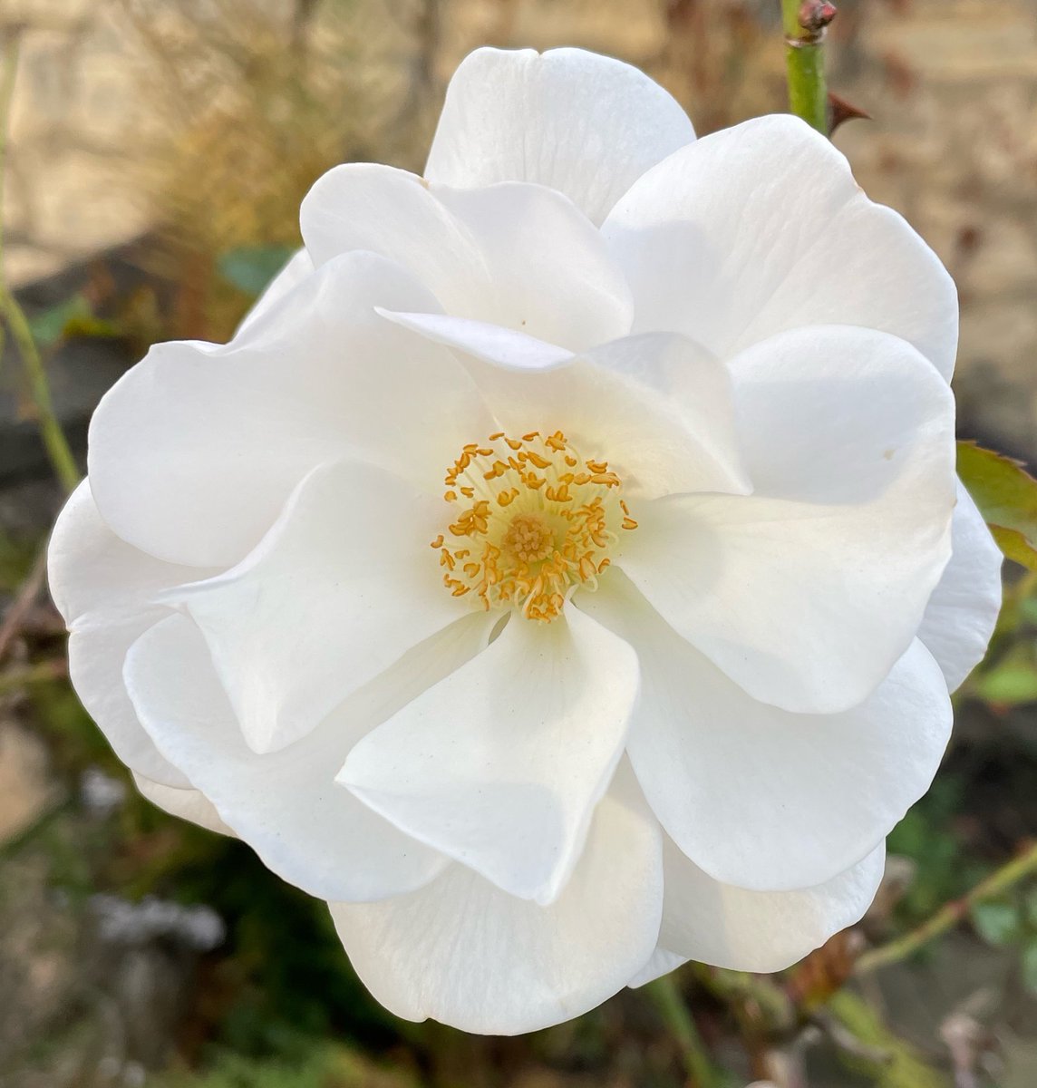 Jason Richards tweet media