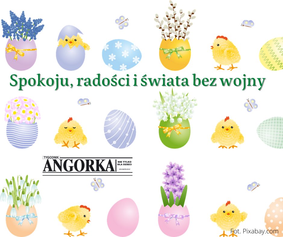 TygodnikAngorka's tweet photo. Spokoju, radości i świata bez wojny https://t.co/KU1m54U46D