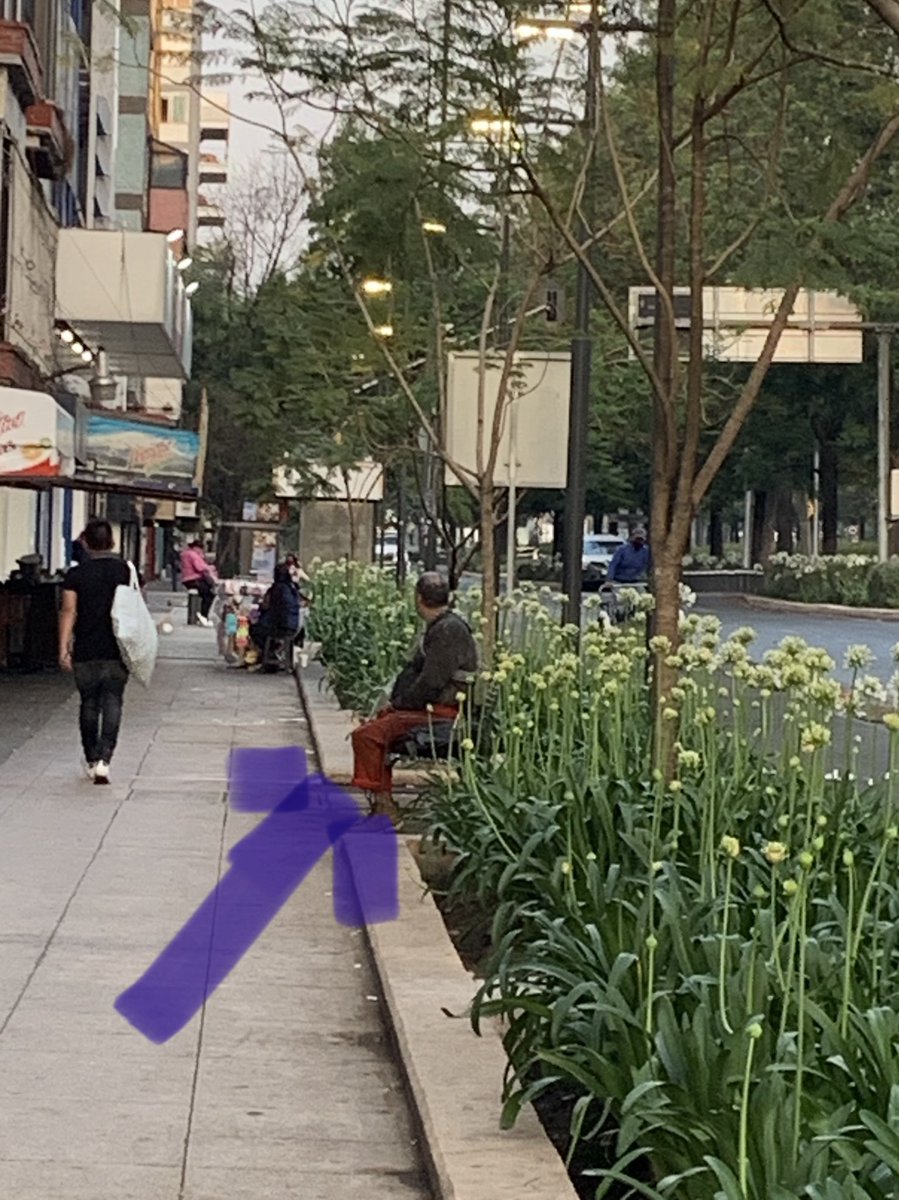 patitaalaire's tweet photo. Día 792 de #cuidarteescuidarnos y este señor en #AvChapultepec  07:00 gritando groserías y aventando botellas a la calle, bonita avenida pero peligrosa por los teporochos y viciosos que viven ahí. Las #autoridades bien Gracias! @Claudiashein   @AlcCuauhtemocMx https://t.co/dyRpMDI9Lx