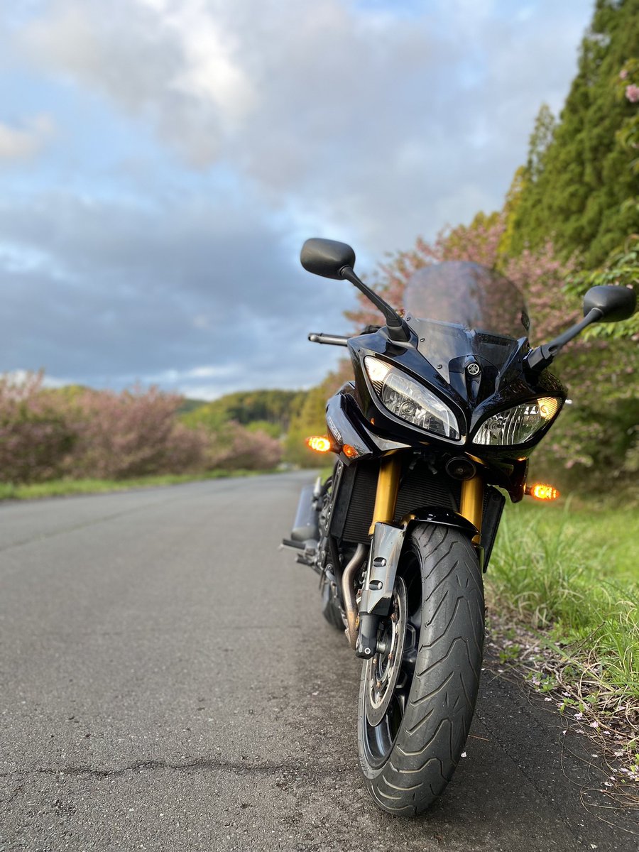 chicken_tricker's tweet photo. 大っきいバイクを車検に出したので代車を借りた。4気筒だけど下のトルクがしっかりしてて運転し易い。
800ccあるからパワーも十分。
ロンツーからサーキットでのスポーツ走行も楽しめそう。
これは良いバイクだ。
#FAZER8 
#FZ8S
#ヤマハが美しい https://t.co/F7oxLNXU4P