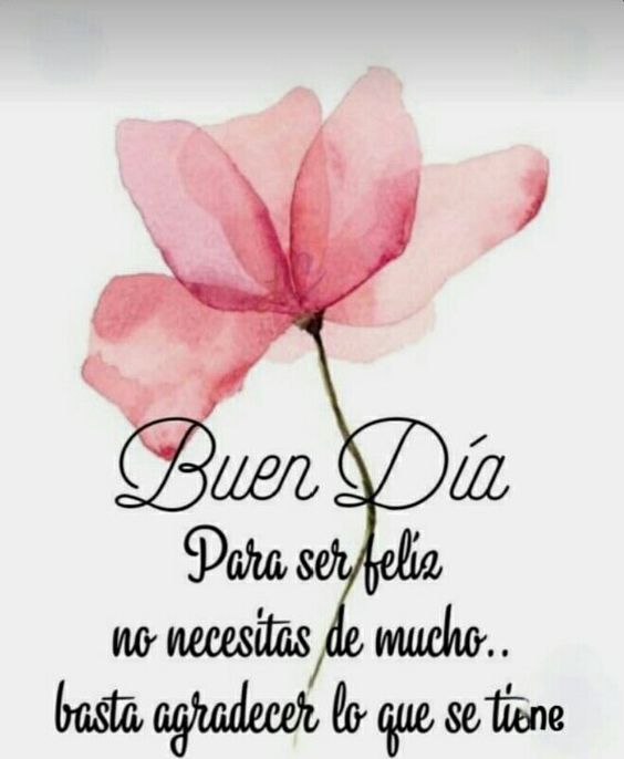 Motivosentuvida's tweet photo. #FelizSabado https://t.co/M6JGMZD706