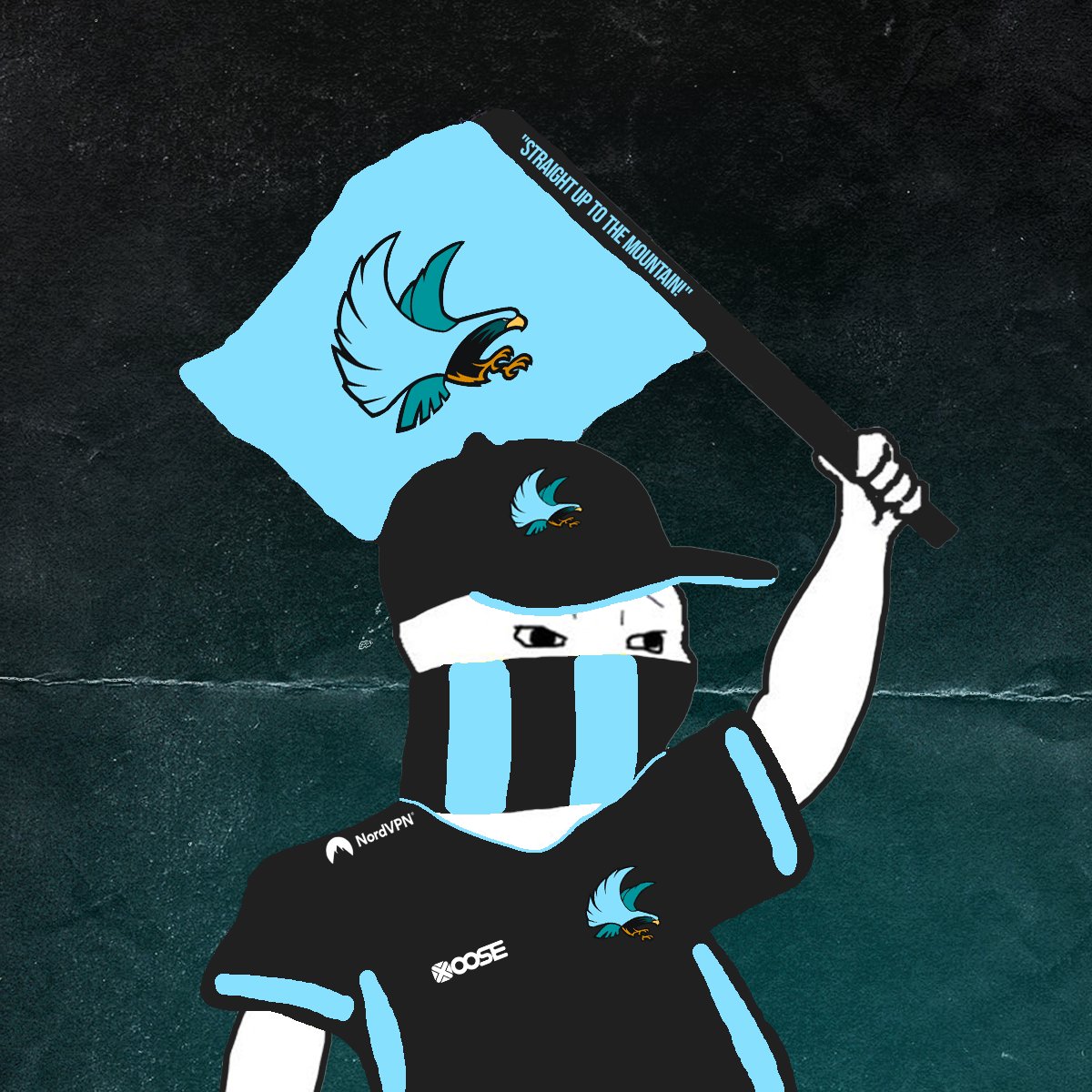 Arctic Falcons tweet media