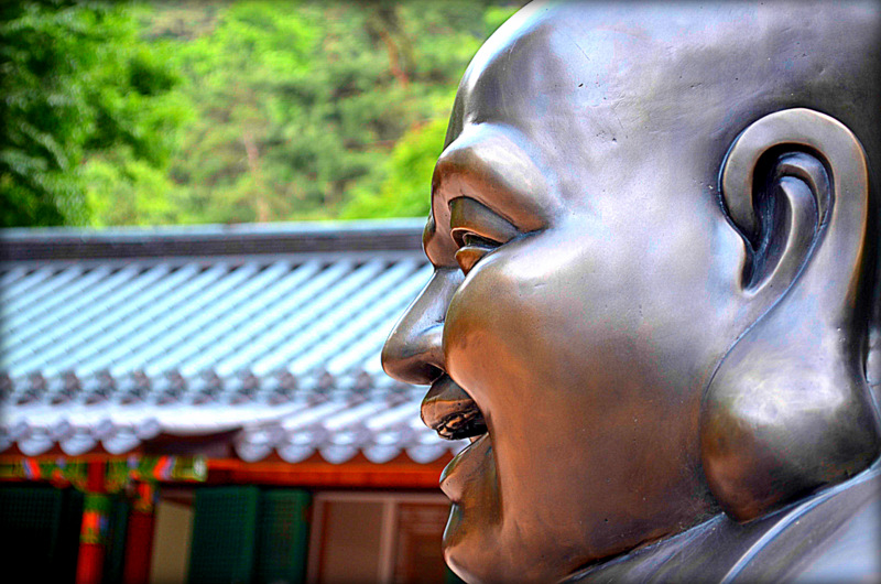 On Day 16, I bring you… the secret of the universe. With a quote from <a href="/DonnaTartt/">Donna Tartt</a> and a video by <a href="/BruBearBaby/">Bru Bear Productions</a> that you’ve probably seen before, but need to see again. michellehbarnes.blogspot.com/2022/04/fillin…
 #TodaysLittleDitty #FillingtheWell #babies #laughter #inspiration #quotes