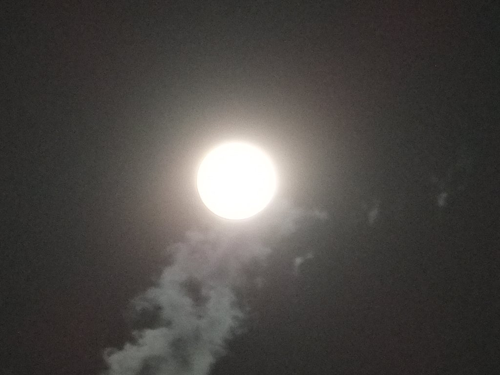 supringmt's tweet photo. 満月は日付が変わってからですが、雲が殆どなく
月が綺麗に見れます。
#FullMoon #Eastermoon
#photography https://t.co/moeZizqyK7